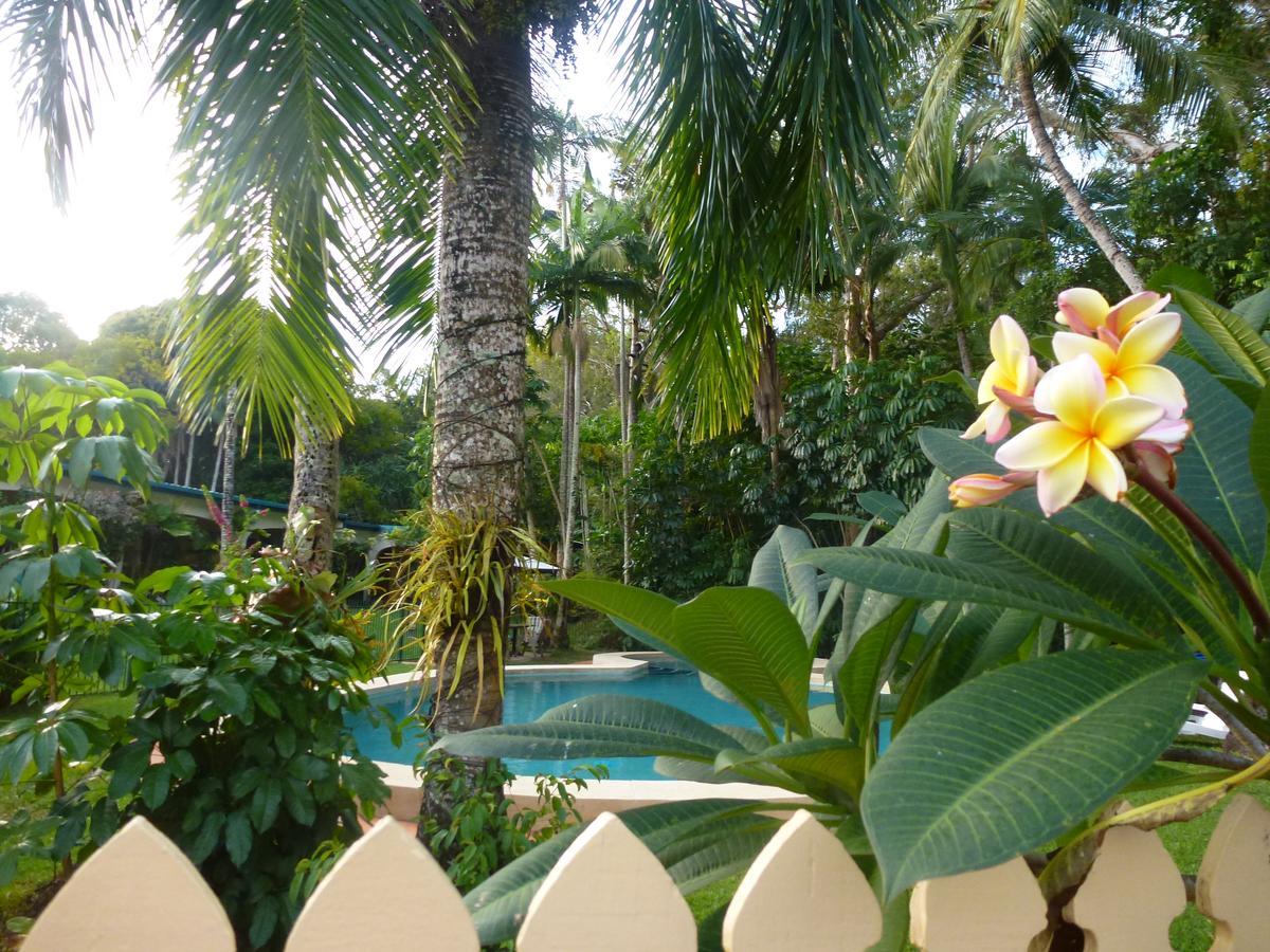 Villa Marine Holiday Apartments Cairns Yorkeys Knob ภายนอก รูปภาพ